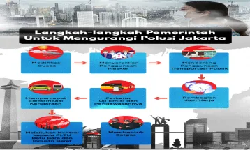 Goverments Strategies Indonesia