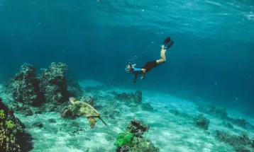 Papua's Biak Numfor Regency to Build Underwater Museum