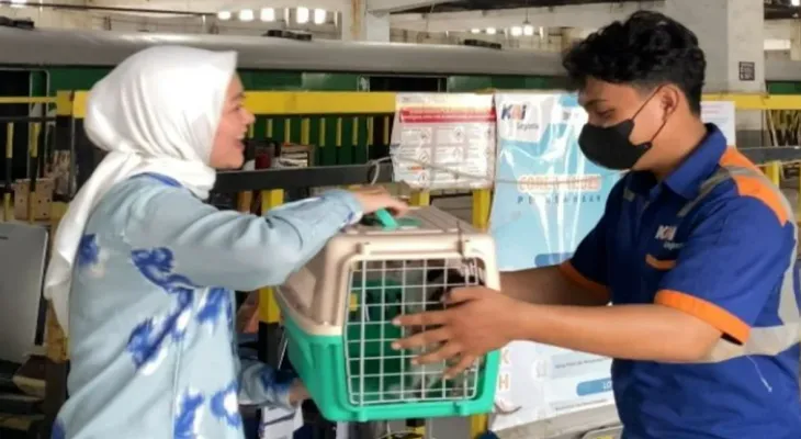 KAI Provides Pet Transport Service for Homecoming Passengers