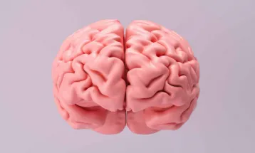 3 Tips Hindari Pikun Dini dan Tingkatkan Daya Ingat Otak