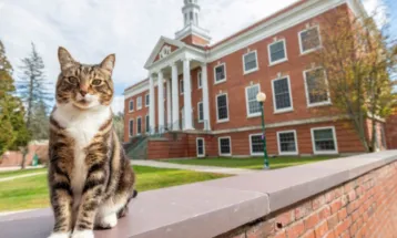 Max the Cat Honored Doctorate of Litter-ature  from Vermont State University