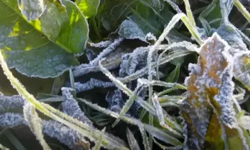 Fenomena Embun Es Muncul di Kawasan TN Bromo Tengger Semeru