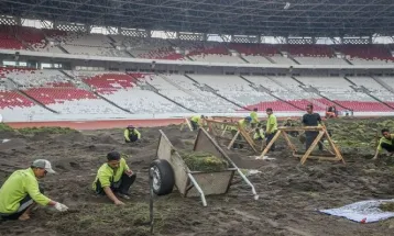 Rumput Stadion GBK Siap Dipakai Laga Indonesia vs Australia di Kualifikasi Piala Dunia