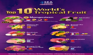 Top 10 World's Tropical Fruit