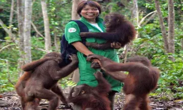 Mengenal Sekolah Orang Utan, Peran dan Tantangannya Kini