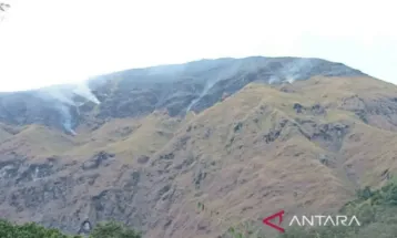 Kebakaran Hutan di Rinjani dan Sembalun Akibat Ulah Manusia