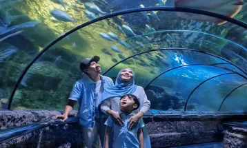 Destinasi Wisata Aquarium Terbaik di Jabodetabek