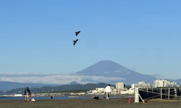 Pertama Sejak 130 Tahun Terakhir, Gunung Fuji Tak Bersalju