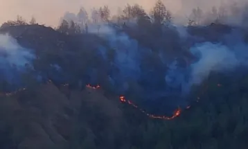 Pendakian Gunung Rinjani via Jalur Senaru Ditutup Sementara Imbas Kebakaran Lahan