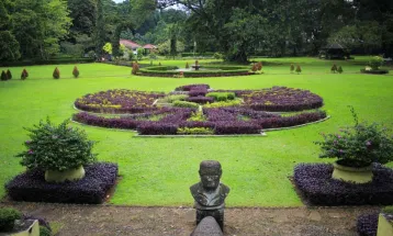 Rekomendasi 7 Spot Menarik di Kebun Raya Bogor